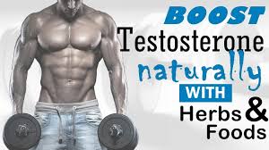 testosterone benefit in hindi