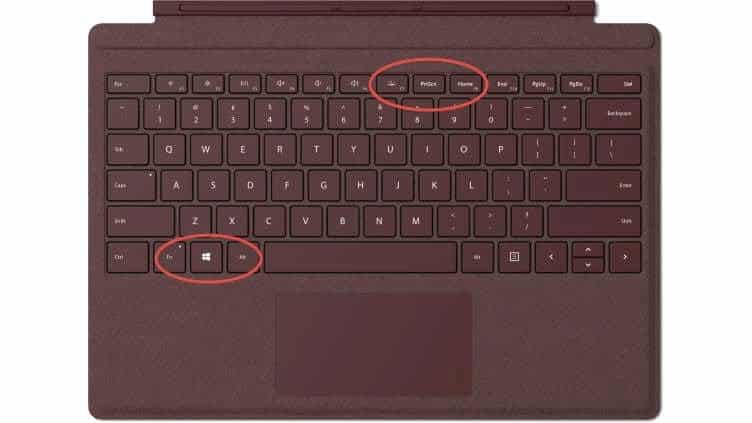 Laptop और Computer में Screenshot कैसे लेते है – How to take Screenshot PC/Laptop or Mobile Laptop और Computer में Screenshot कैसे लेते है