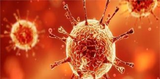 कोरोना वायरस के कहर से बचना चाहतें हैं तो इन बातों का रखें ध्यान corona