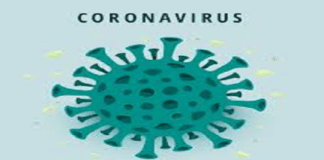 क्या हर 15 मिनट में पानी पीने से दूर भाग जाएगा COVID- 19, जानें फ्लू और Corona के लक्षण में फर्क क्या हर 15 मिनट में पानी पीने से नहीं दूर भाग जाएगा COVID- 19, जानें फ्लू और Corona के लक्षण में फर्क