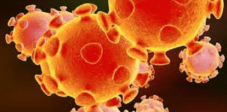 कोरोना वायरस को लेकर भूल से भी न पालें ये भ्रम, जानें इसकी सच्चाई कोरोना वायरस को लेकर भूल से भी न पालें ये भ्रम, जानें इसकी सच्चाई