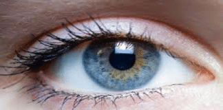 आंखों के रोगों को दूर भगाने के लिए Diet में शामिल करें ये चीजें (Eye Care Tips in Hindi) आंखों का विटामिन खाना, आंखों के लिए अच्छा भोजन, आंखों की सेहत के टिप्स, आंखों की रोशनी में सुधार के लिए भोजन, सूखी आंखों के लिए भोजन