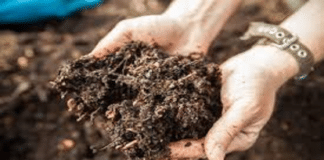 कूड़े-कचरे का प्रयोग करके घर पर बनाएं कंपोस्ट खाद और कमाएं लाखों रूपए (How to make Compost in Hindi) कूड़े-कचरे का प्रयोग करके घर पर बनाएं कंपोस्ट खाद और कमाएं लाखों रूपए (How to make Compost in Hindi)