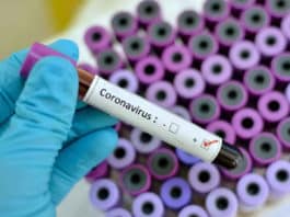 आप जानतें है Coronavirus का Test कैसे किया जाता है, जानें इसकी सारी डिटेल