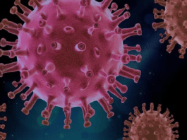 आप जानते कितने घण्टे तक हवा में रहता है Coronavirus ? जानें हाथ धोने का सही तरीका