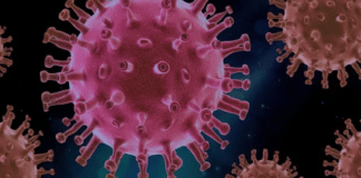 आप जानते कितने घण्टे तक हवा में रहता है Coronavirus ? जानें हाथ धोने का सही तरीका आप जानते कितने घण्टे तक हवा में रहता है Coronavirus ? जानें हाथ धोने का सही तरीका