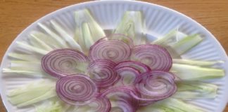 जानिए कच्चा प्याज खाने के फायदे, इन रोगों में है काफी मददगार onion