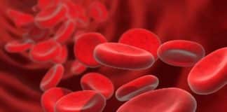 जानिए शरीर में कैसे बनता है हीमोग्लोबिन और इसके अनेक फायदों के बारे में rbc