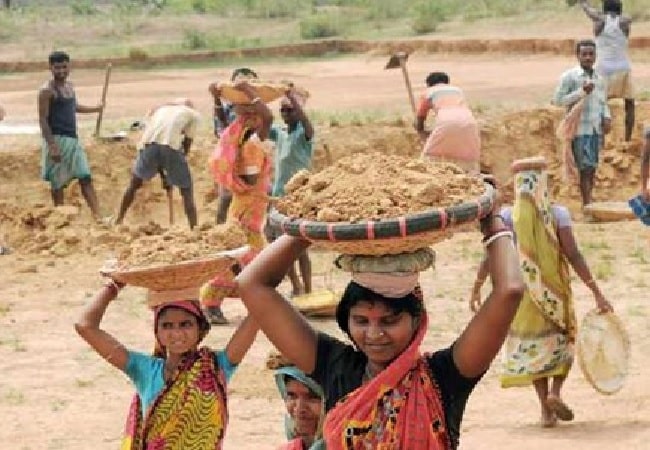 mnrega