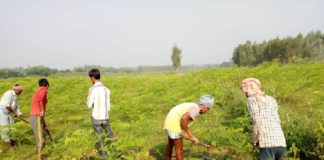 मुख्यमंत्री कृषक दुर्घटना कल्याण योजना: ऑनलाइन आवेदन, पात्रता व लाभ kisan