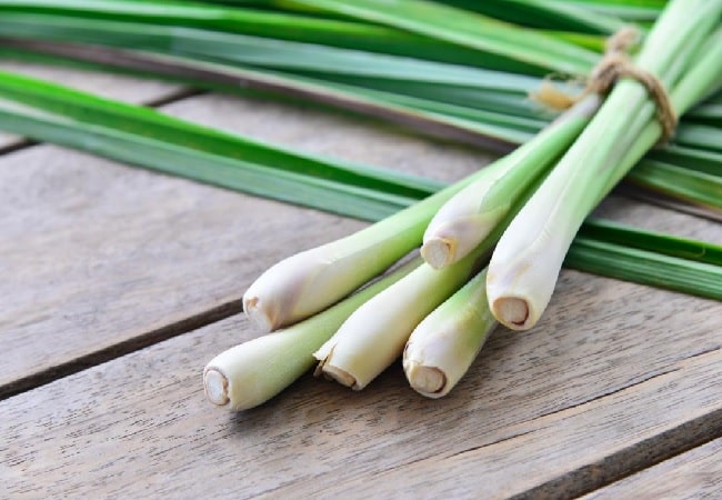 lemon grass 