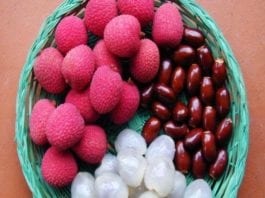 lychee-seeds_ लीची के बीज के फायदे