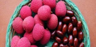 लीची खाने के फायदे और नुक़सान – Is It Safe to Drink Litchi Juice During Pregnancy? lychee-seeds_ लीची के बीज के फायदे