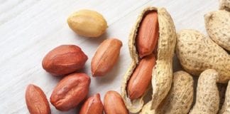 यदि आप चाहते है वजन कम करना तो एक बार इस चीज का प्रयोग करके देखें peanuts img