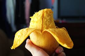 आम का महत्व