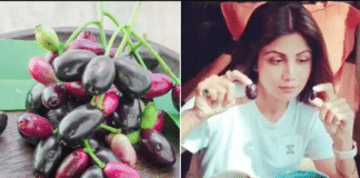 जामुन के फायदे , गुण और नुकसान Health Benefits of Jamun Seeds in Hindi जामुन खाने के नुकसान