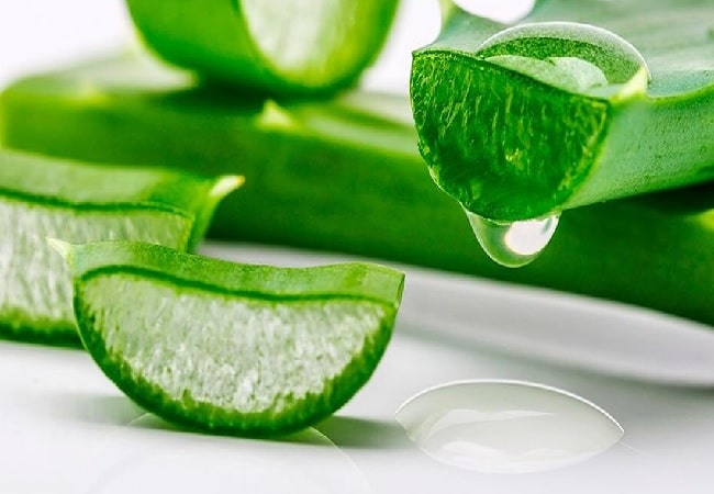 aloe vera