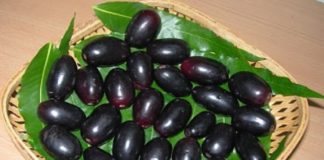 जानिए जामुन कैसे रखता है आपकी सेहत का ख्याल jamun