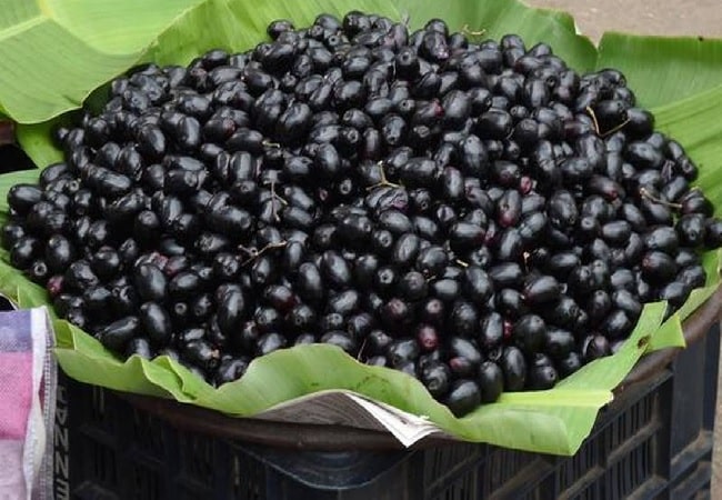 jamun
