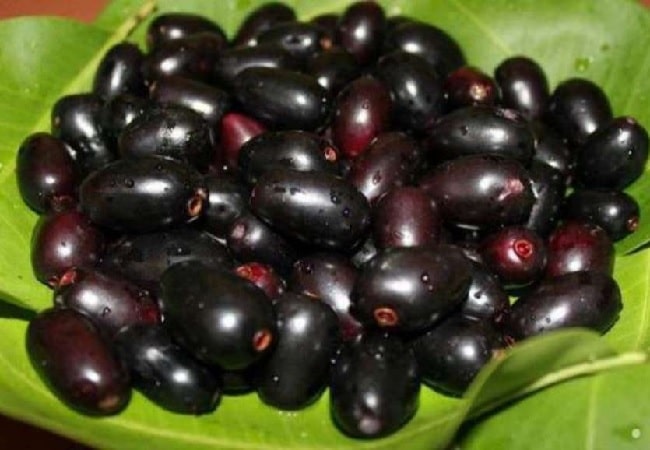 jamun