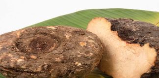 ओल, जिमीकंद या फिर सूरन, जानिए इसके फायदे और नुकसान jimikand