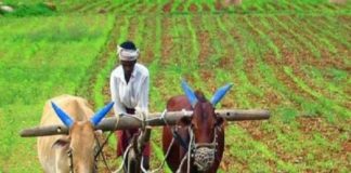 किसानों के लिए बेहद कारगर है ये स्कीम, केवल 4% ब्याज पर मिलता है 3 लाख का लोन kisan