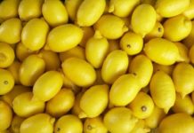 अगर नींबू को लंबे समय तक रखना चाहते है फ्रेश तो आजमाएं ये घरेलु नुस्खे lemon pic