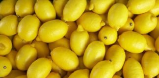 अगर नींबू को लंबे समय तक रखना चाहते है फ्रेश तो आजमाएं ये घरेलु नुस्खे lemon pic