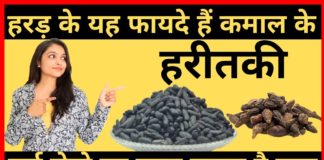 हरीतकी (हरड़) के फायदे और नुकसान What is Haritaki or Harad Benefits and Uses in Hindi? बड़ी हरड़ के फायदे और नुकसान