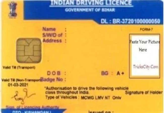 driving license 