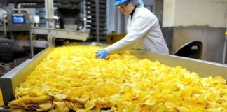 कम लागत में शुरू करें आलू चिप्स का व्यापार: Automatic Potato Chips Making Machine Project आलू चिप्स मशीन कहानी