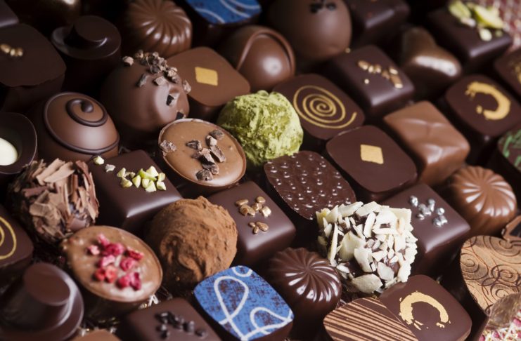 how to start chocolate business in india