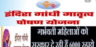 इंदिरा गांधी मातृत्व योजना के तहत मिलेगा कितना पैसा? कैसे ले सकते है इसका लाभ? इंदिरा गांधी मातृत्व पोषण योजना-