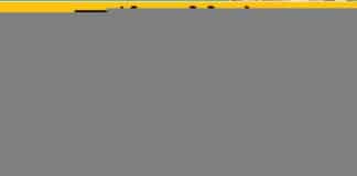 जानें हरियाणा सीएम बागवानी बीमा स्कीम में आवेदन करने की प्रक्रिया के बारे में How to Apply Haryana Bagwani Bima Yojana Online