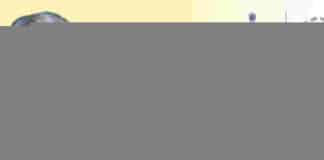 हरियाणा महिला समृद्धि स्कीम ऑनलाइन आवेदन प्रक्रिया Haryana Mahila Samridhi Scheme Online Application Process