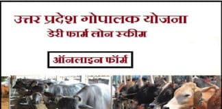 उत्तर प्रदेश गोपालक योजना की ऑनलाइन आवेदन प्रक्रिया Online Application Process of Uttar Pradesh Gopalak Yojana