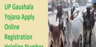 उत्तर प्रदेश गौशाला योजना ऑनलाइन आवेदन प्रोसेस क्या है? Uttar Pradesh Gaushala Yojana Online Application Process?