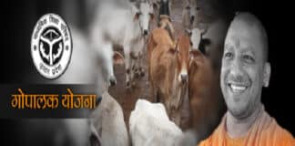 उत्तर प्रदेश गोपालक योजना 2022 (UP Gopalak Yojana) क्या है? Up Gopalak Yojana 2022