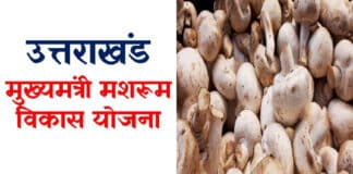 उत्तराखंड मुख्यमंत्री मशरूम विकास योजना 2022 आवेदन प्रक्रिया / Mukhyamantri Mushroom Vikas Yojana 2022 Uttarakhand Mukhyamantri Mushroom Vikas Yojana 2022