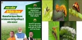 कीट नियंत्रण योजना में ऐसे करें आवेदन और पायें योजना का लाभ Keet Rog Niyantran Yojana