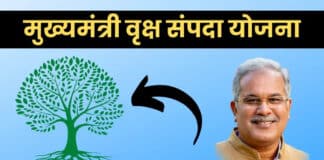 पायें मुख्यमंत्री वृक्ष सम्पदा योजना का लाभ, जानें आवेदन करने की प्रक्रिया के बारे में। Mukhyamantri Vriksha Sampada Yojana